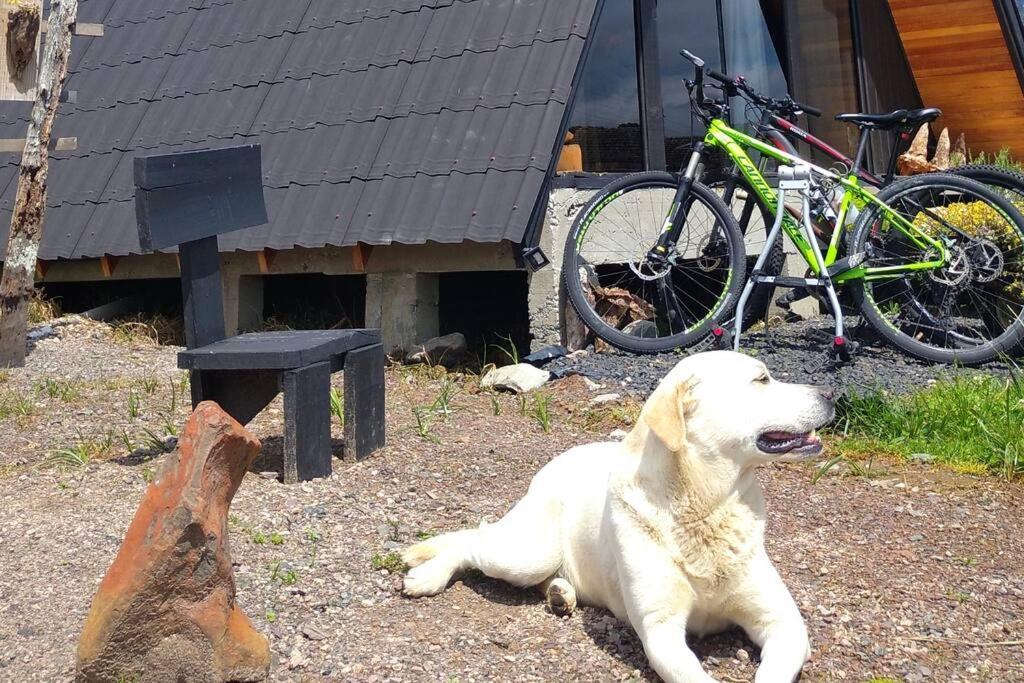 Pe Na Picada, Chale Em Urubici. Estilo E Conforto Em Uma Das Cidades Mais Frias Do Brasil! Exterior foto